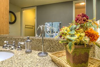 Granite counters upgrades in kitchen and restroom vanities